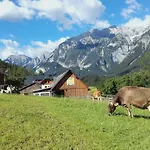 Rinnergut Alloggio per agriturismo *