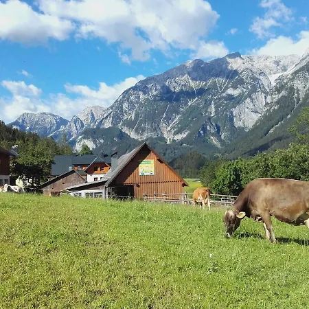 Rinnergut Gospodarstwo agroturystyczne *