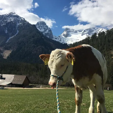 Gospodarstwo agroturystyczne Rinnergut Hinterstoder
