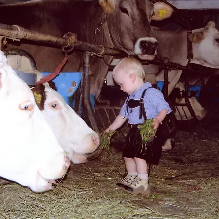 팜스테이 Rinnergut