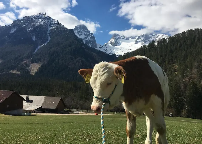 Farma Rinnergut Hinterstoder