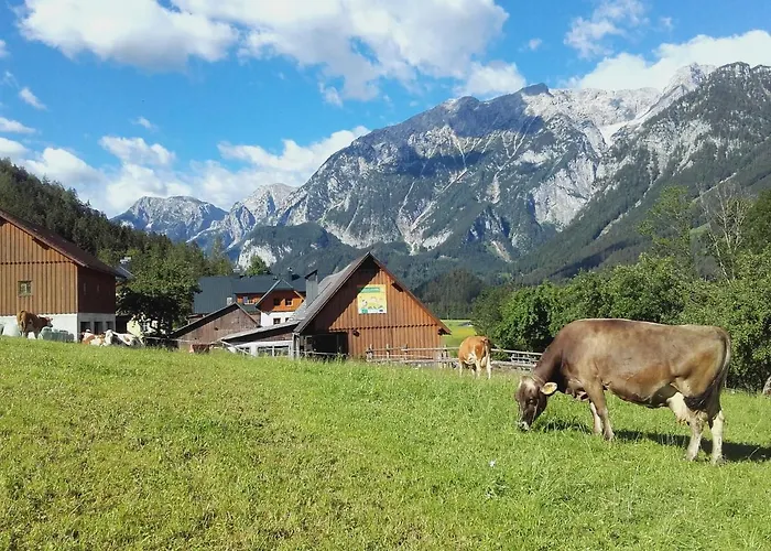 Rinnergut Feriegård *